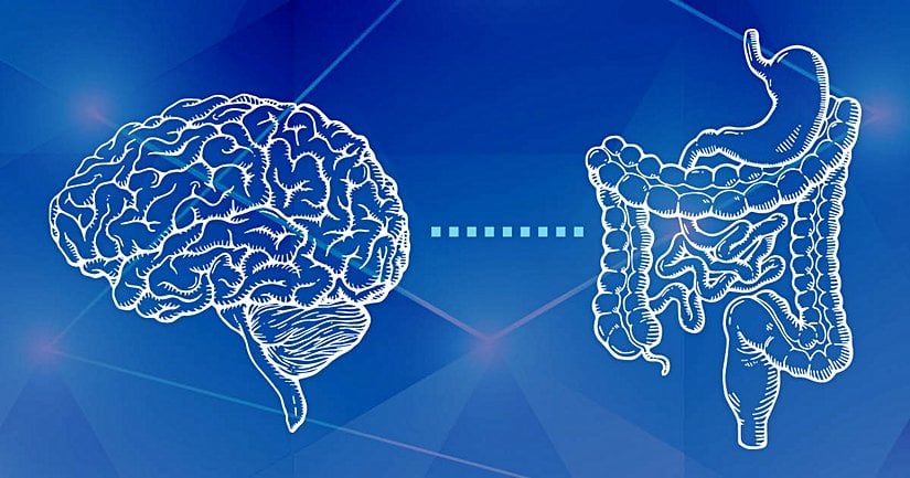 Merkezi sinir sistemi ve gastrointestinal sistem.