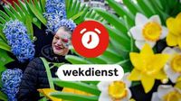 Wekdienst 12/4: Bloemencorso Noordwijk • Woutertje Pieterse Prijs uitgereikt
