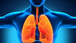 Alerji Ve Solunum Yolu Hastalıkları