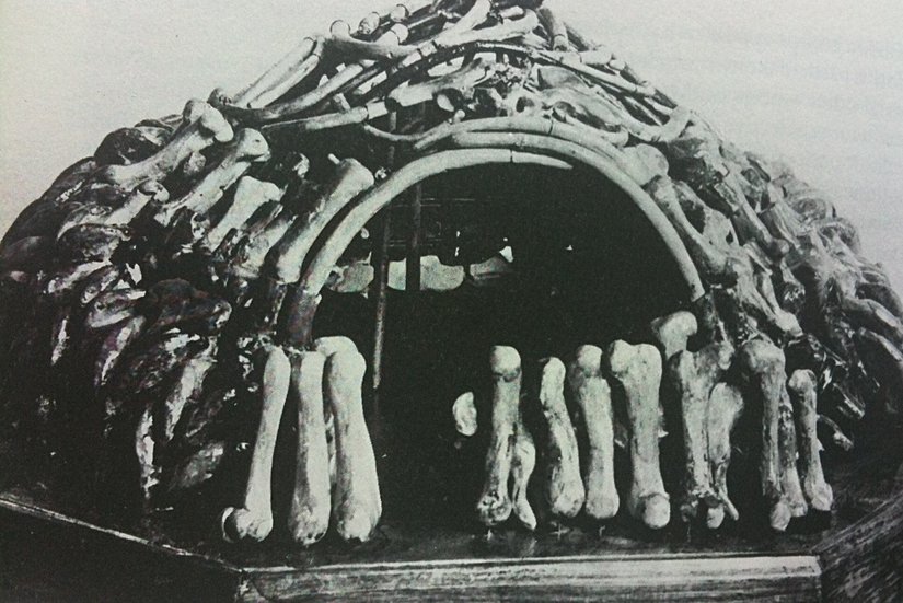 Ukrayna Mezhirich'ten yerleşim