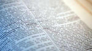 Cambridge Dictionary Adds Skibidi And Delulu To Lexicon