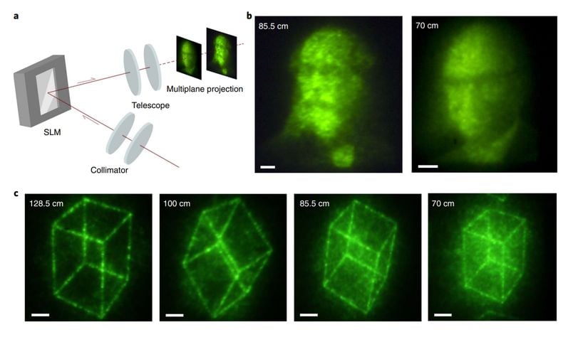 Yeni teknolojiyle üretilen çok katmanlı holografik projeksiyonlara örnekler... Yüzler Maxwell ve Gabor'a ait.