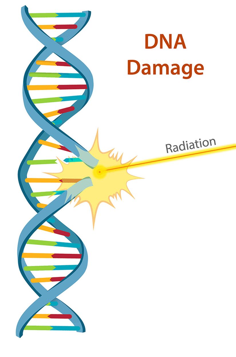 Radyasyonun DNA ipliği üzerindeki bağ kopmasını simgeleyen çizim
