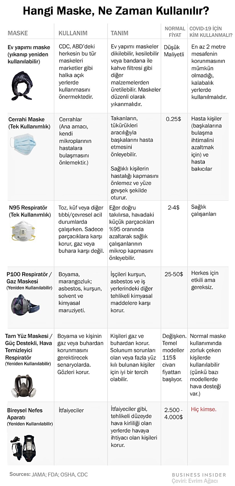Bu görsel Evrim Ağacı tarafından Türkçeye çevrilmiştir.
