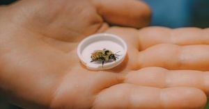 Science Funding Cuts Threaten US Innovation Leadership