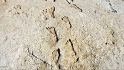 Antik Ayak İzi Buluntuları, İnsanların Amerika'ya Varış Tarihini Değiştiriyor!