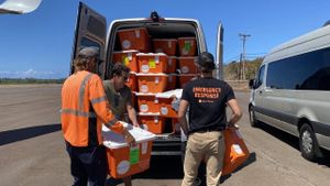 Aid Distribution Efforts Enhance Fire Victims' Recovery