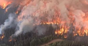 Canada Surpassed Many Countries With 2023 Wildfire Emissions