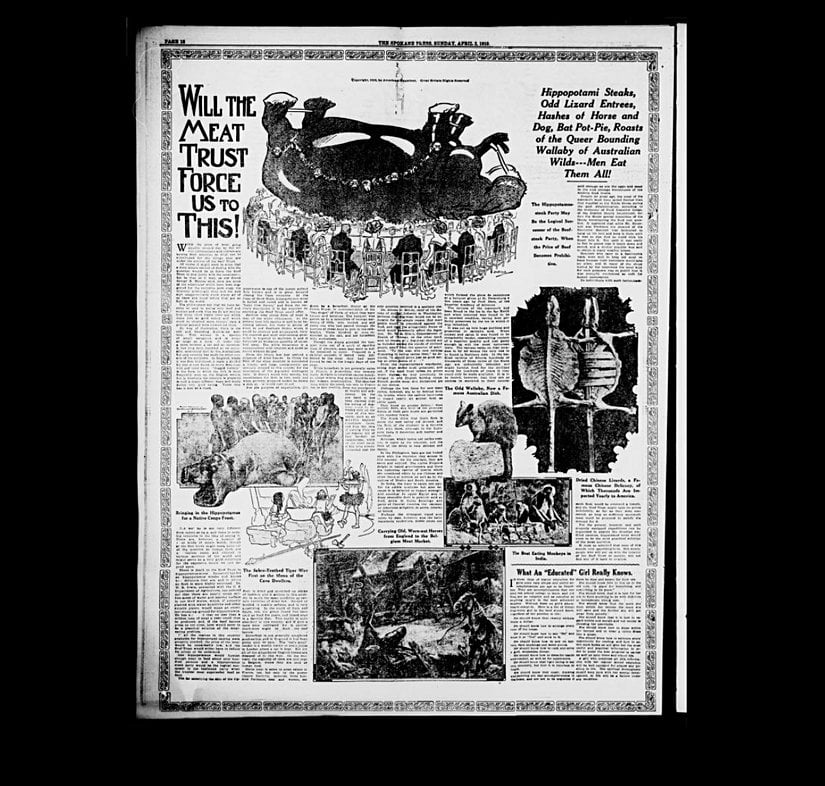 1910 yılı, Amerika'da konuyla ilgili bir köşe yazısı.