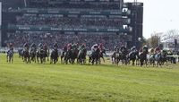 Grand National Tips: Runner-By-Runner Guide (2025)