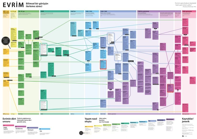 Canlılar evrimleşir. Bu bir doğa yasasıdır. Buna, evrim denir. Bu yasanın nasıl ve neden çalıştığını açıklayan bilgiler bütününe Evrim Teorisi denir. Bu teorini geliştiren, değiştiren, evrimleştiren araştırmaların süregeldiği bilim sahasına ise Evrimsel Biyoloji... Evrim Teorisi, evrimsel biyoloji çalışmaları sayesinde uzun yıllardır evrimleşmektedir. Yani evrim de, canlılar gibi evrimleşmektedir. Kötü olan yaklaşımlar elenmekte, iyi olanlar seçilip hayatta kalmaktadır. Bu iyi fikirler, araştırmalar, yaklaşımlar, tıpkı mutasyona uğrayan canlılar gibi &quot;fikir mutasyonuna&quot; uğrayarak bir miktar farklılaşır. Bu mutant fikirlerden de en iyileri (en açıklayıcı, isabetli, doğru olanları) hayatta kalır ve çoğalır, diğerleri elenir. Böylece bir fikir, basit bir adamın aklında dönen olası bir açıklamadan, insanlık tarihinin gördüğü en güçlü bilim sahasına dönüşür. İşte bu görselde, evrimin evriminin tarihini inceleyeceğiz. Dev boyutta çıktısını odanıza veya okulunuza asabilir, birçok kişinin bu bilgilerden faydalanabilirsiniz. Aşağıdaki kaynak bağlantısına tıklayarak büyük boyda görebilirsiniz.