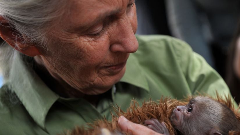 Jane Goodall (2018)