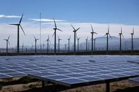 Trump’s Latest Attack on Wind and Solar Squeezes Tax Breaks
