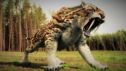 Dişleri uzun turuncu nesli tükenmiş kaplanın adı nedir?