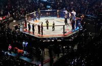 MOLLY MCCANN VS ALEXIA THAINARA PREDICTIONS, PICKS & ODDS