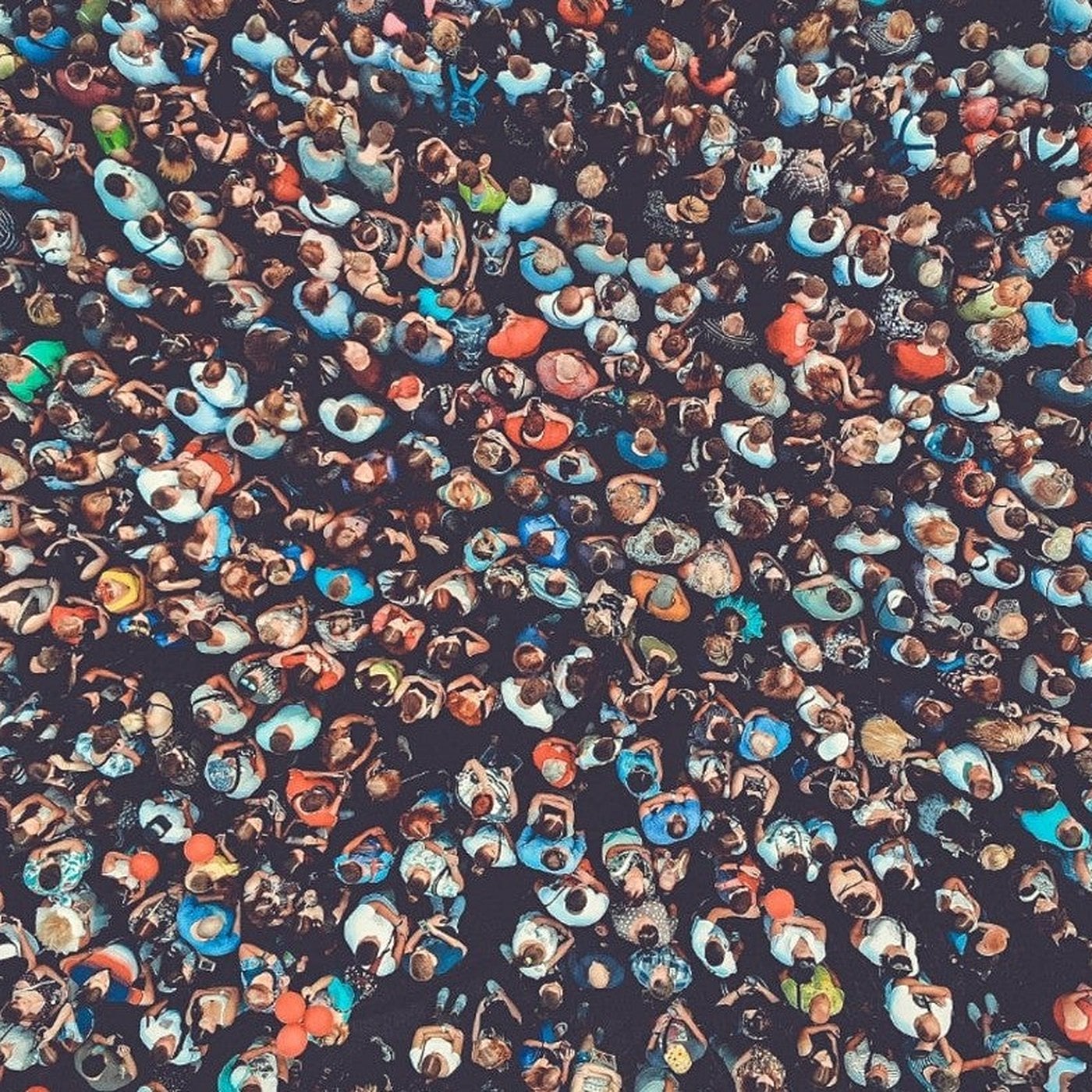 Evrim Ağacı ile Bilime Dair Her Şey!