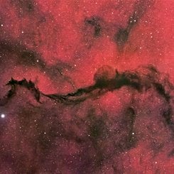 Yılancı'da Karanlık Bir Peçe