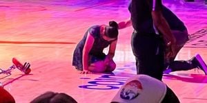 Red Panda Injured During WNBA Halftime Show Performance