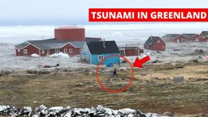 Greenland Landslide Triggers Mega-Tsunami And Global Vibration