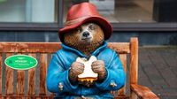 Judge blasts RAF engineers with put-down after they stole Paddington statue