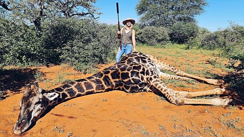 Ne yazık ki avcılık, Amerika'daki özel çiftlikler gibi dünyanın bir çok yerinde yaygın olarak bir gelir kapısıdır.