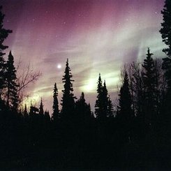 Ay Işığındaki Gökyüzünde Aurora