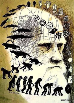 Zerbato’nun Darwin’i betimlerken sağ kaşının üst bölümüne “mi fi (Latince “benim oli”) ibaresine benzer kaligrafik bir şey yazdığını fark ettiniz mi?