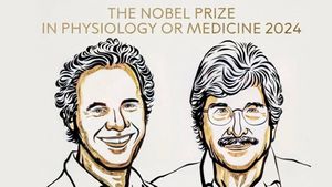 Nobel Prize Celebrates Groundbreaking MicroRNA Discovery