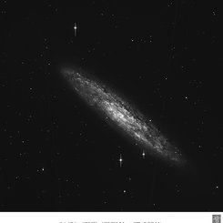Sarmal Gökada NGC 253