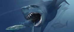 Megalodon