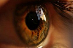 Neden bazı insanların göz bebekleri büyükken, bazılarınınki küçük?