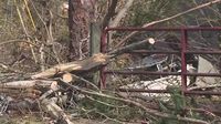Cleanup continues after tornado tears through Paulding County
