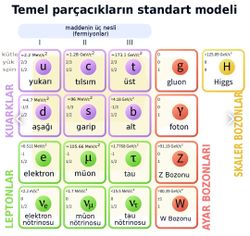 Atom altı parçacıklarının temeli olan Kuarkların ve leptonların da yapı taşları var mıdır?