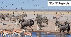 Namibia Rescues Its Wildlife Amid Drought Crisis