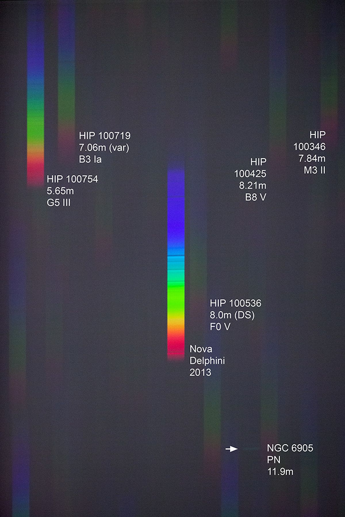  A Spectrum of Nova Delphini 