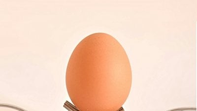 Yumurta Kapıya Gelince: Deyimlerimizdeki Evrimsel Baskı ve 