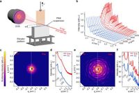 In-situ X-ray scattering observation of colloidal epitaxy at the gas-liquid-solid interface - Nature Communications