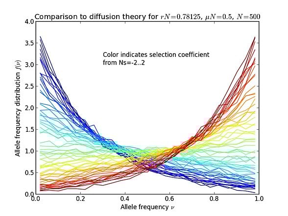 Mutasyon-seçilim dengesinin alel frekansına ve bunların popülasyon içindeki dağılımına etkisi.