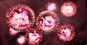Victoria Faces Worst Measles Outbreak In A Decade