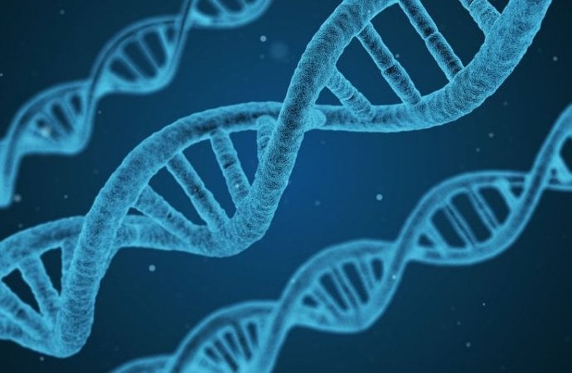 Genlerin Değişimi Nasıl Olur ve Evrim Buna Bağlı Olarak Nasıl Gerçekleşir?