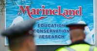 Marineland asks Canadian government for emergency cash to feed whales — or euthanasia imminent