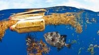Eating just a handful of plastic can be fatal for marine animals, a study finds