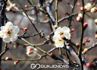 날씨, 수도권 