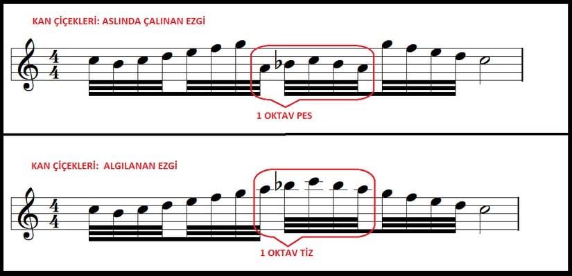 Kan Çiçekleri: Çalınan ve Algılanan Ezgi
