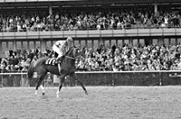 Secretariat's Triple Crown jockey Ron Turcotte dies at 84