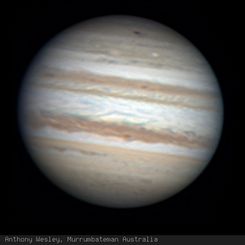 Jupiter's New Impact Scar