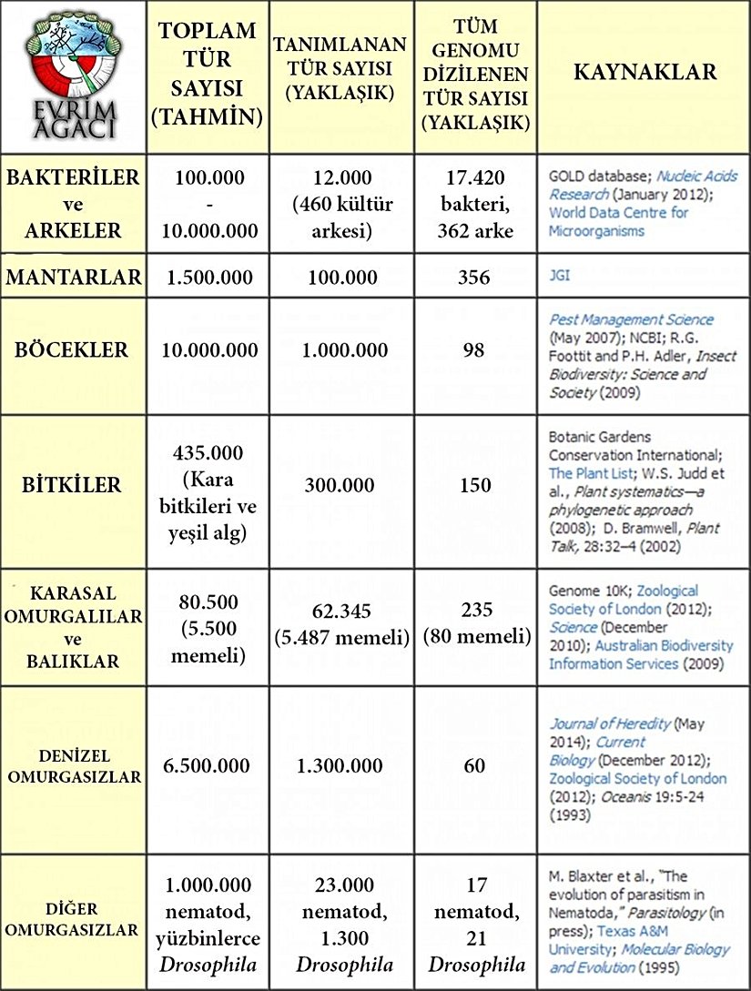 Evrim Ağacı tarafından çevrilmiştir. 24 Nisan 2014'e ait verilerdir. Son 250 yıldır 1.2 milyon ökaryot türü tanımlanmıştır ve taksonomik olarak sınıflandırılmıştır. Dünya üzerinde tahminen 100.000-10 milyon arası bakteri ve arke ile yaklaşık 8.7 milyon ökaryot türü bulunmaktadır. Ökaryotların tür sayısı 7.4 milyon ila 10 milyon arasında değişmektedir. Bunların 2.2 milyon civarı denizel organizmalardır.