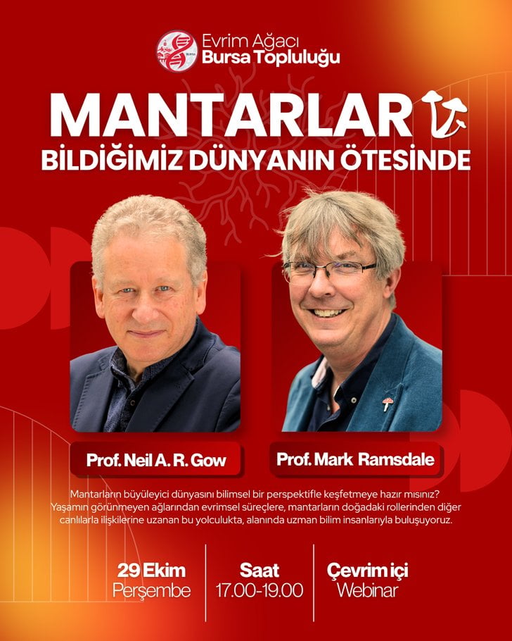 Mantarlar: Bildiğimiz Dünyanın Ötesinde