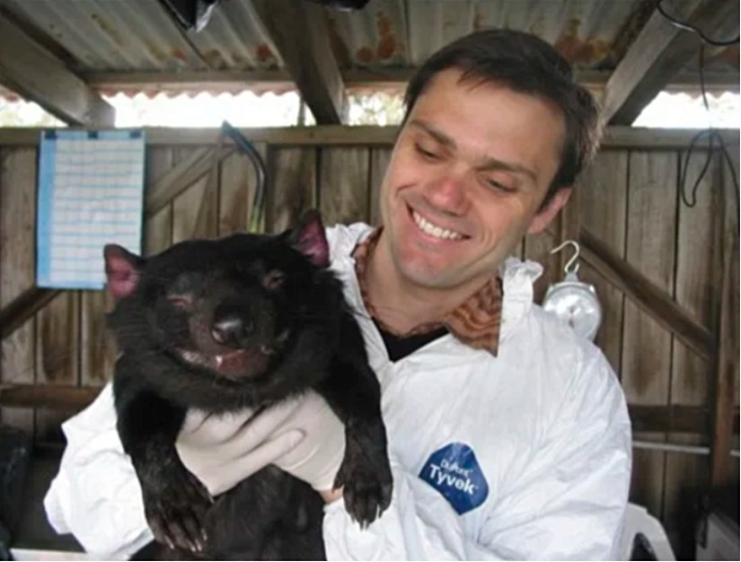 Araştırmacı Alex Kreiss, Avustralya'nın Hobart kentindeki Tazmanya Üniversitesi'ne bağlı Menzies Araştırma Enstitüsü'nde Tazmanya Şeytanı "Cedric"i tutuyor. Bir zamanlar, ikonik Tazmanya canavarlarını yok olma tehlikesiyle karşı karşıya getiren bulaşıcı yüz kanserine karşı bağışık olduğu düşünülen Cedric, hastalığa yenik düştükten sonra, ötenazi uygulanarak hayatına son verildi.