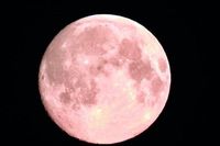 You can see an amazing Pink Moon in the night sky this weekend